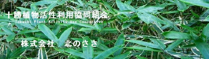 十勝パウク