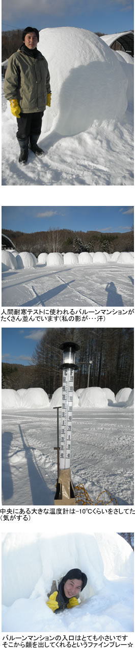しばれフェスティバル